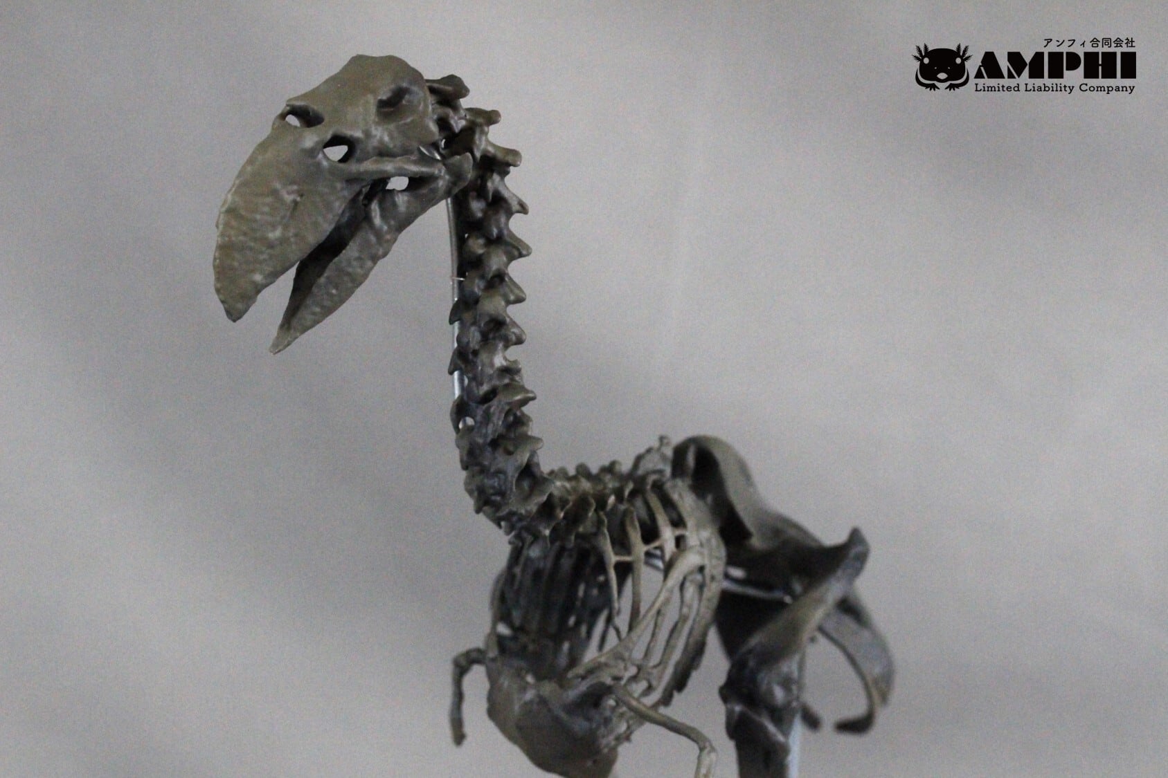 コトリマァク　イルカアーミー　スタンダードサイズ コトリマァク イルカアーミー スタンダードサイズ Yahoo!オークション