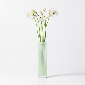 《2026年2月発売》Pipe M ミント［ HENRY DEAN ］