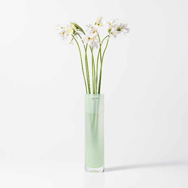 《2026年2月発売》Pipe M ミント［ HENRY DEAN ］