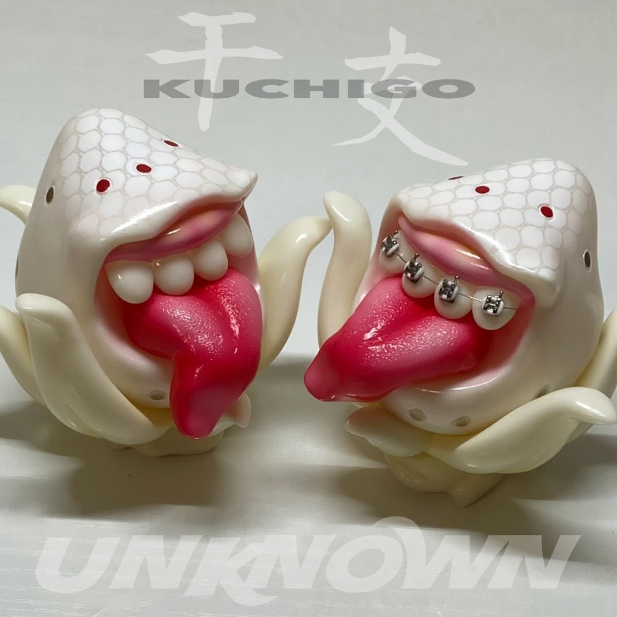 干支KUCHIGO(巳)【矯正:有】 | -UNKNOWN-