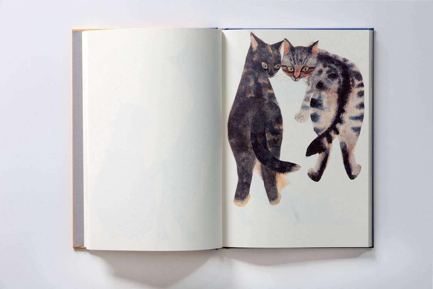 出人根育 特望の初作品集 特典つき＊新品】出久根育作品集