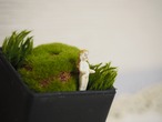 小さな小さなフローズンシャーロット　フェーブサイズ 画像12