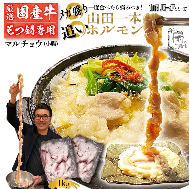 ホルモン 1kg (500g×2) 国産  山田一本ホルモン 【もつ鍋用】