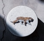 窓の庭　アムールトラ