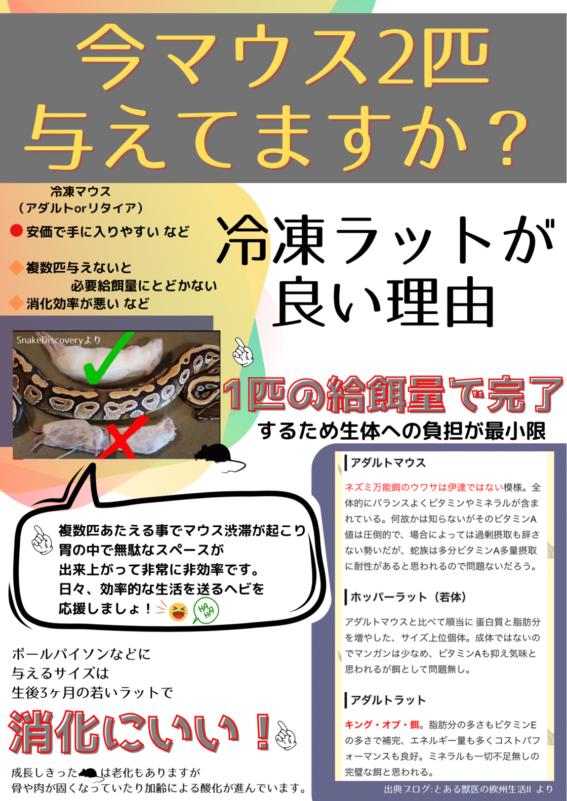 冷凍ラットピンクM5匹 [±10-15g] | PAY ID