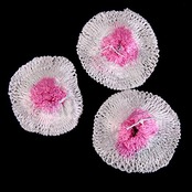 キャンプ　汎用　ガス灯　ランタン　交換　マントル　3枚