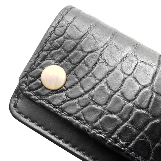 MasterPiece《NILOTICUS》mini