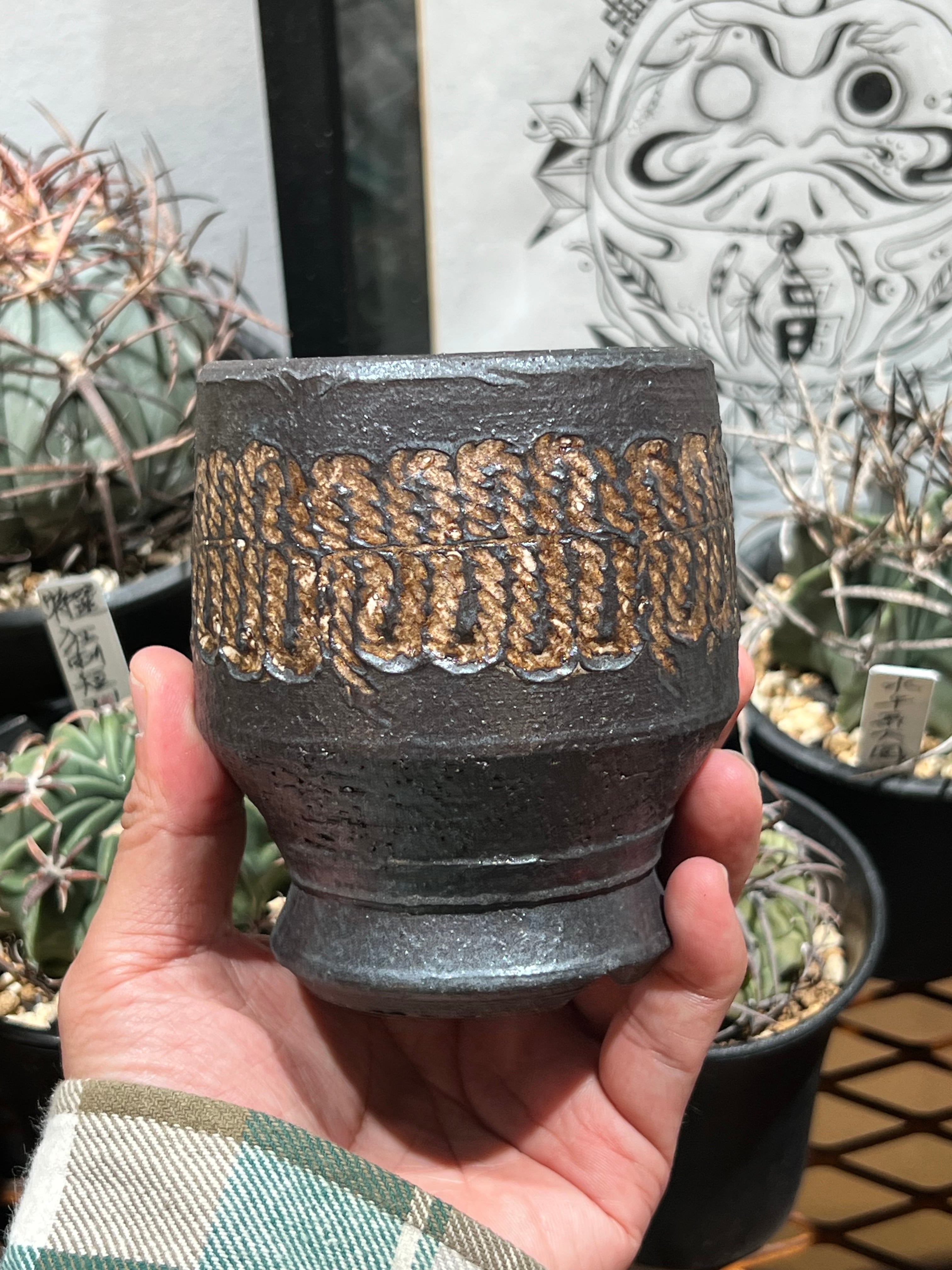 PLANTS POT | KOBE AGAVE SHOP