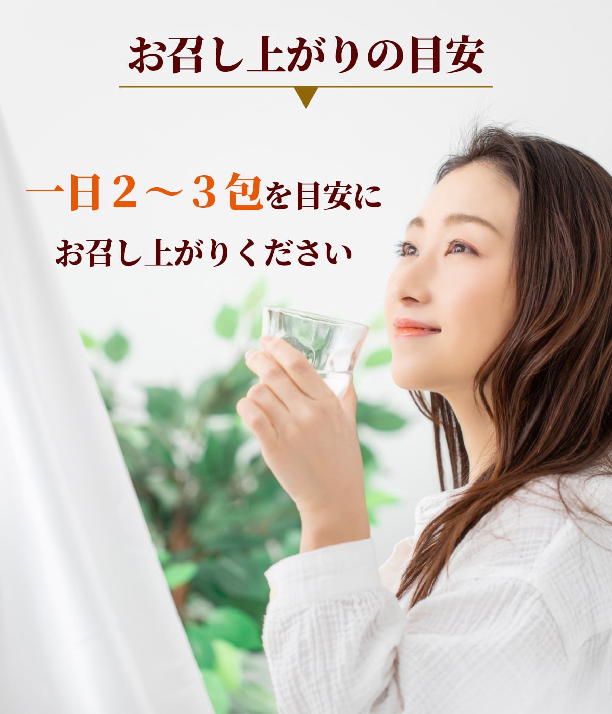 菊芋のちから（個包装タイプ） | 【株式会社山陽種苗】野菜や果物の