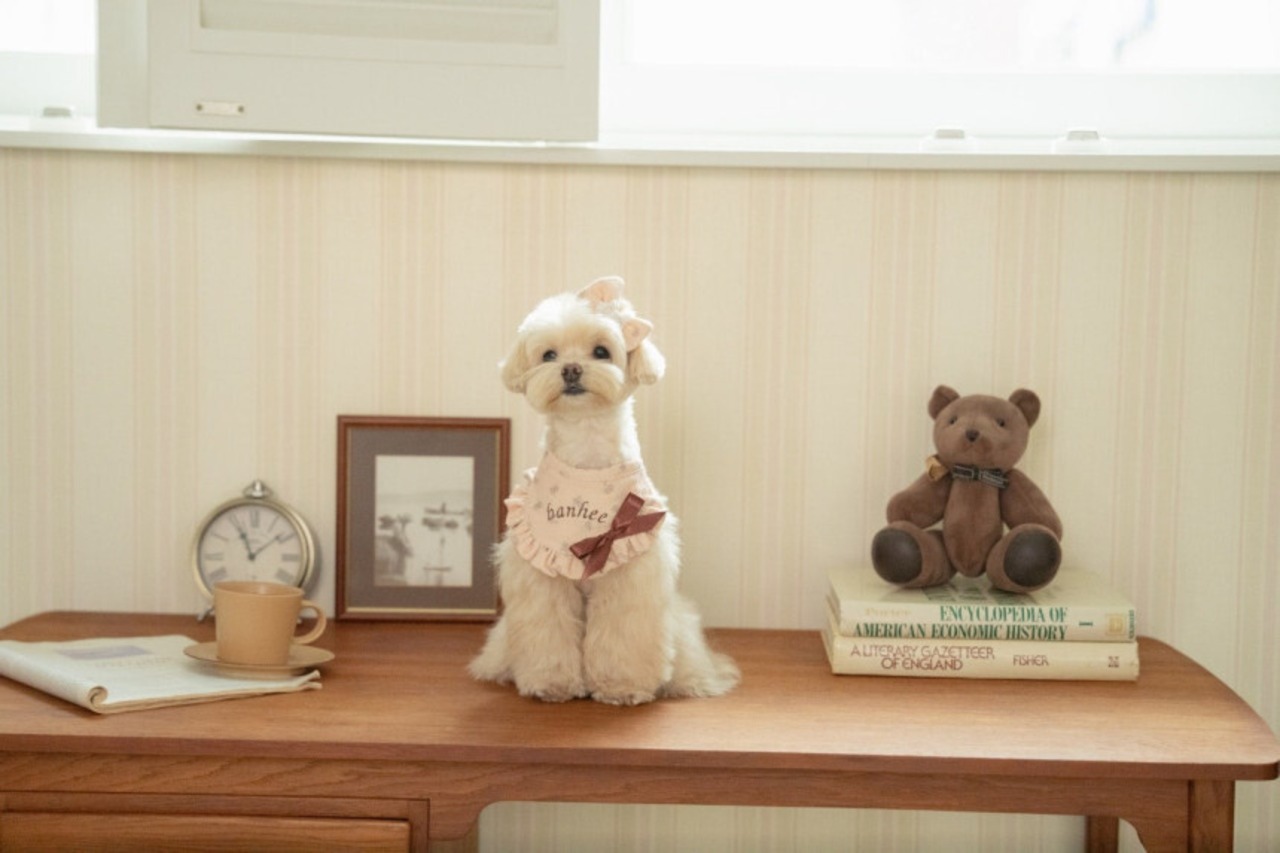 予約  【pecoramou select】Vintage rose bib