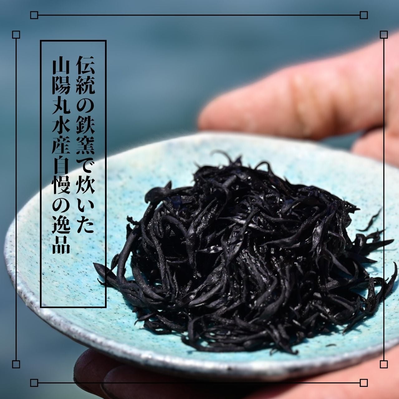 広島県倉橋島産】鉄窯ひじき【天日干し】 | 山陽丸水産