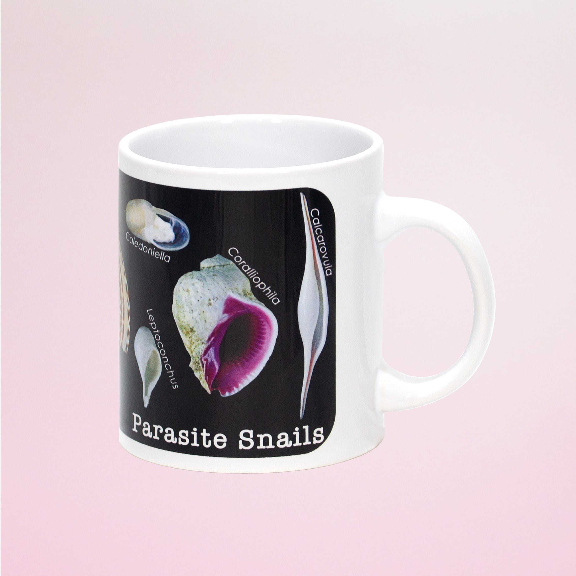 寄生巻貝マグカップ | 目黒寄生虫館オリジナルグッズ オンラインショップ