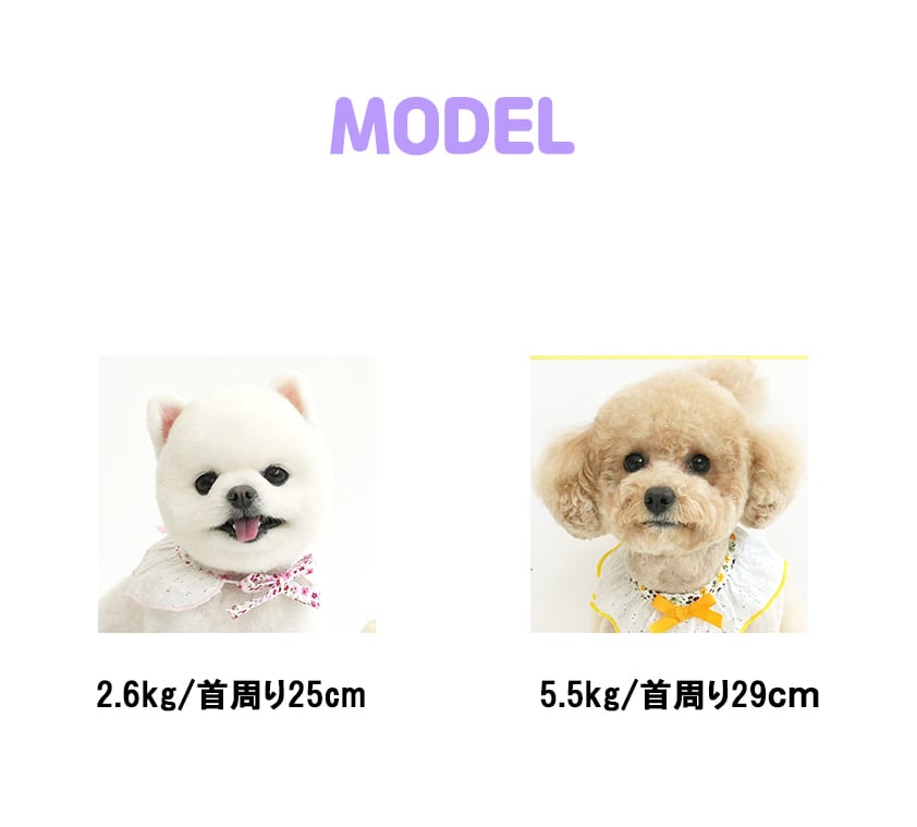 lace scarf 3color / 犬 首輪 おしゃれ 可愛い バンダナ 犬 アクセサリー 小型犬 中型犬 レース リボン 犬服 ドッグウェア ケープ