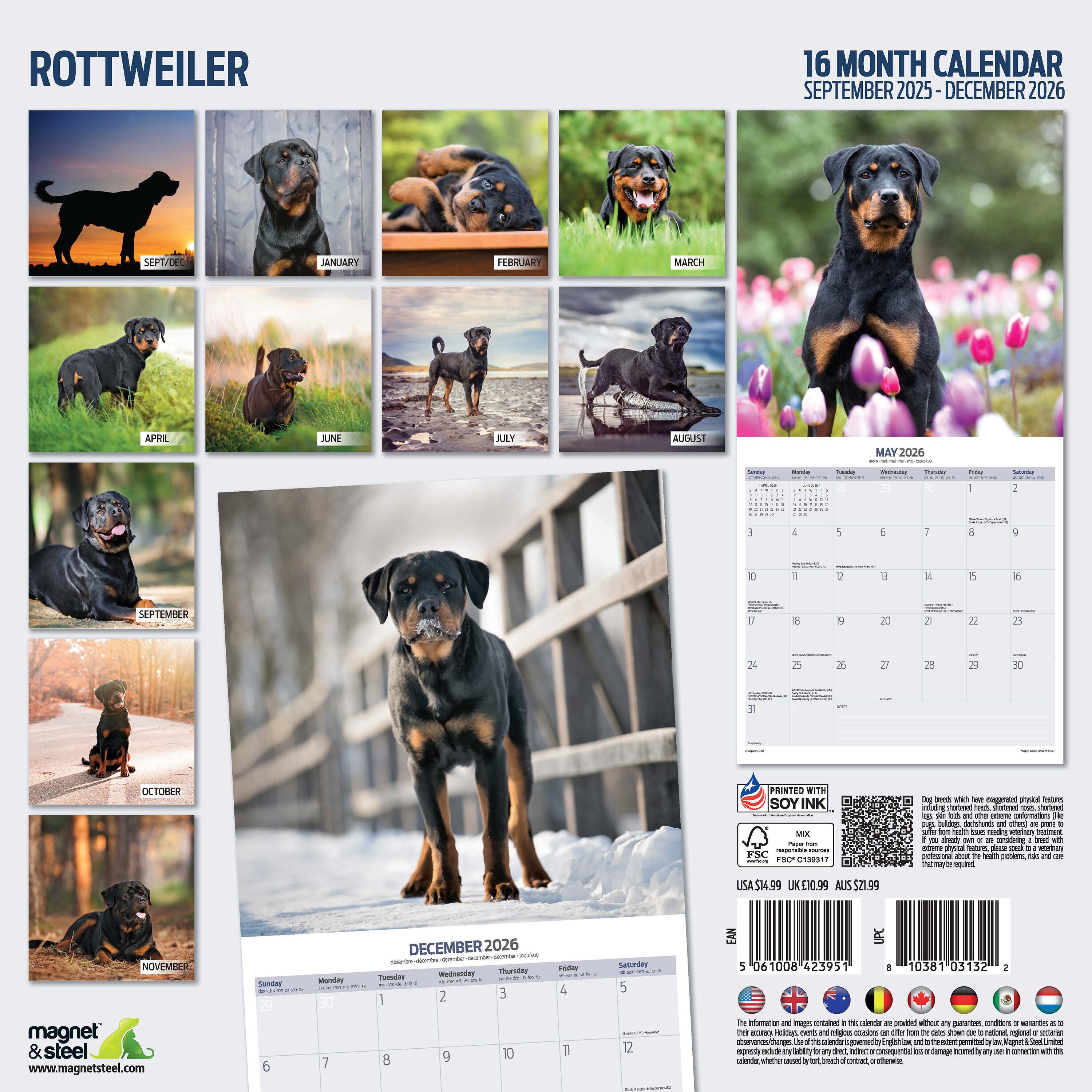 【2026年版】英国製犬種カレンダー【ロットワイラー Traditional】 2026年版