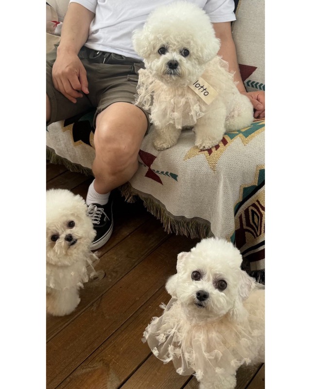 受注制作【curum】tutu cape〔お名前item〕