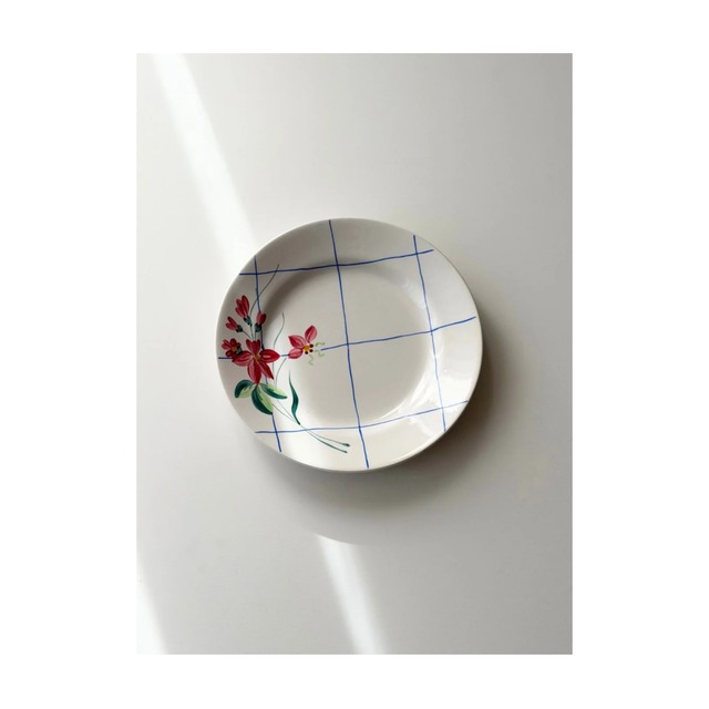 Niderviller　ニーデルヴィレー　/　“SAUMUR”　ハンドペイントの深皿プレート　f