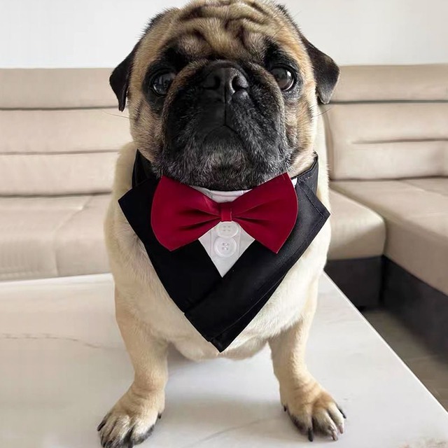 Dog wear  -quick formal tie-　　dogw-189