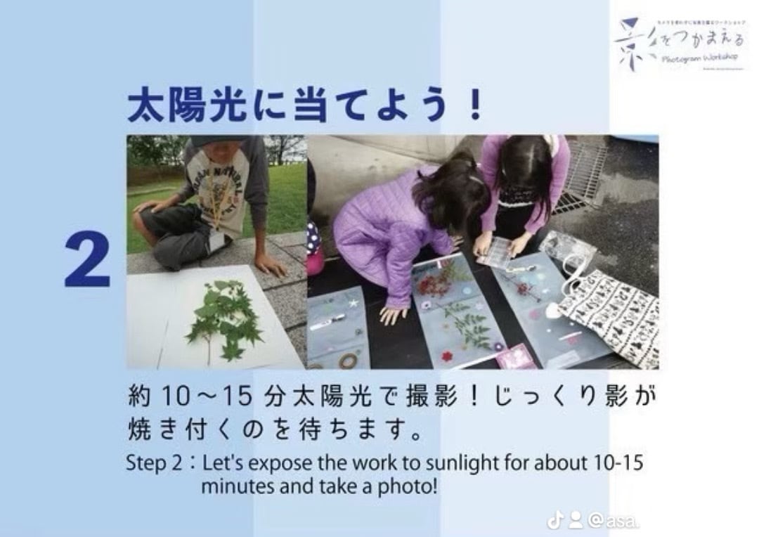 A4サイズ感光紙（サイアノタイプ・日光写真用／厚口水彩画紙使用