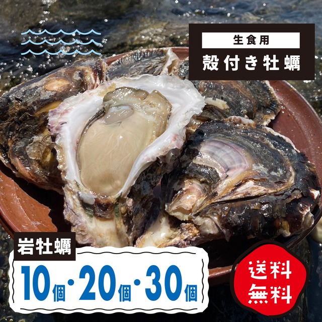 送料込！岩牡蠣（殻付き）生食用 10個・20個・30個