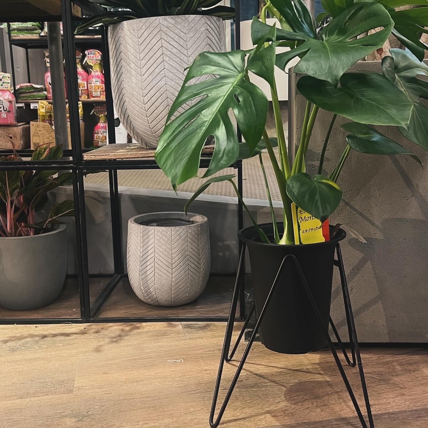 美品！Squareスタンド&キャッシュドロワーセット Amazon.com: YAMAZAKI Home Tosca Storage Basket - Wood Handle