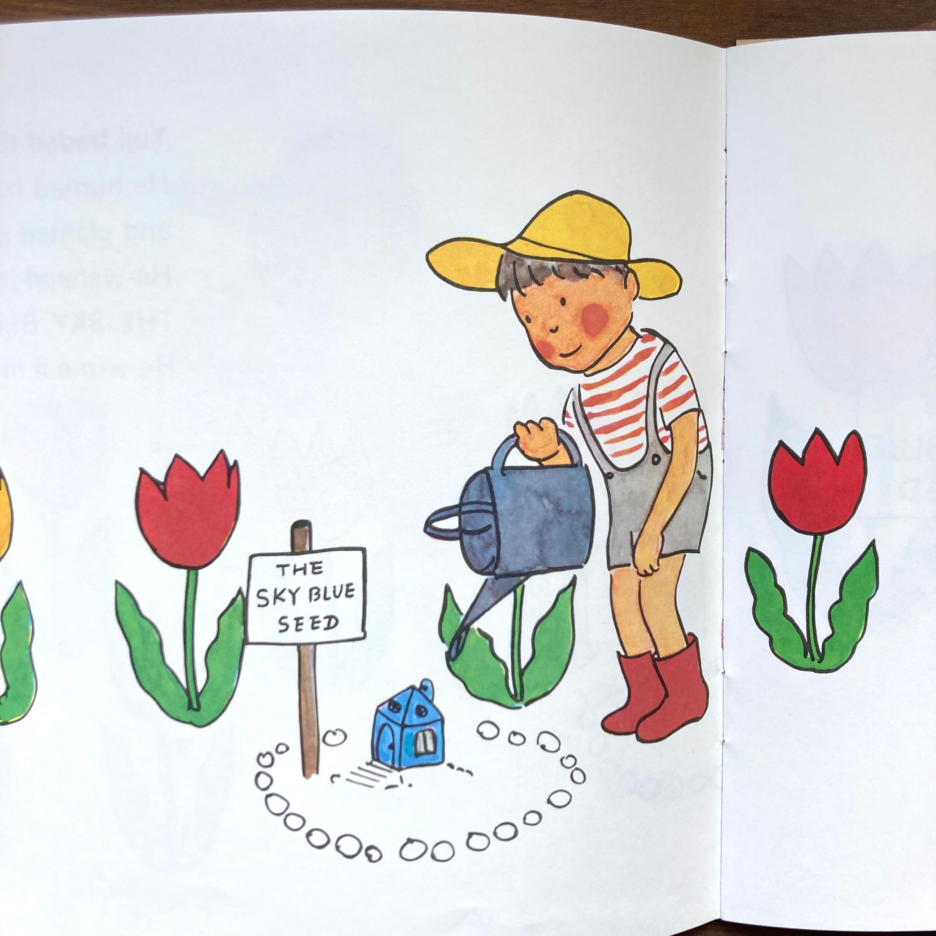 そらいろのたね&The Sky Blue Seed 2冊セット