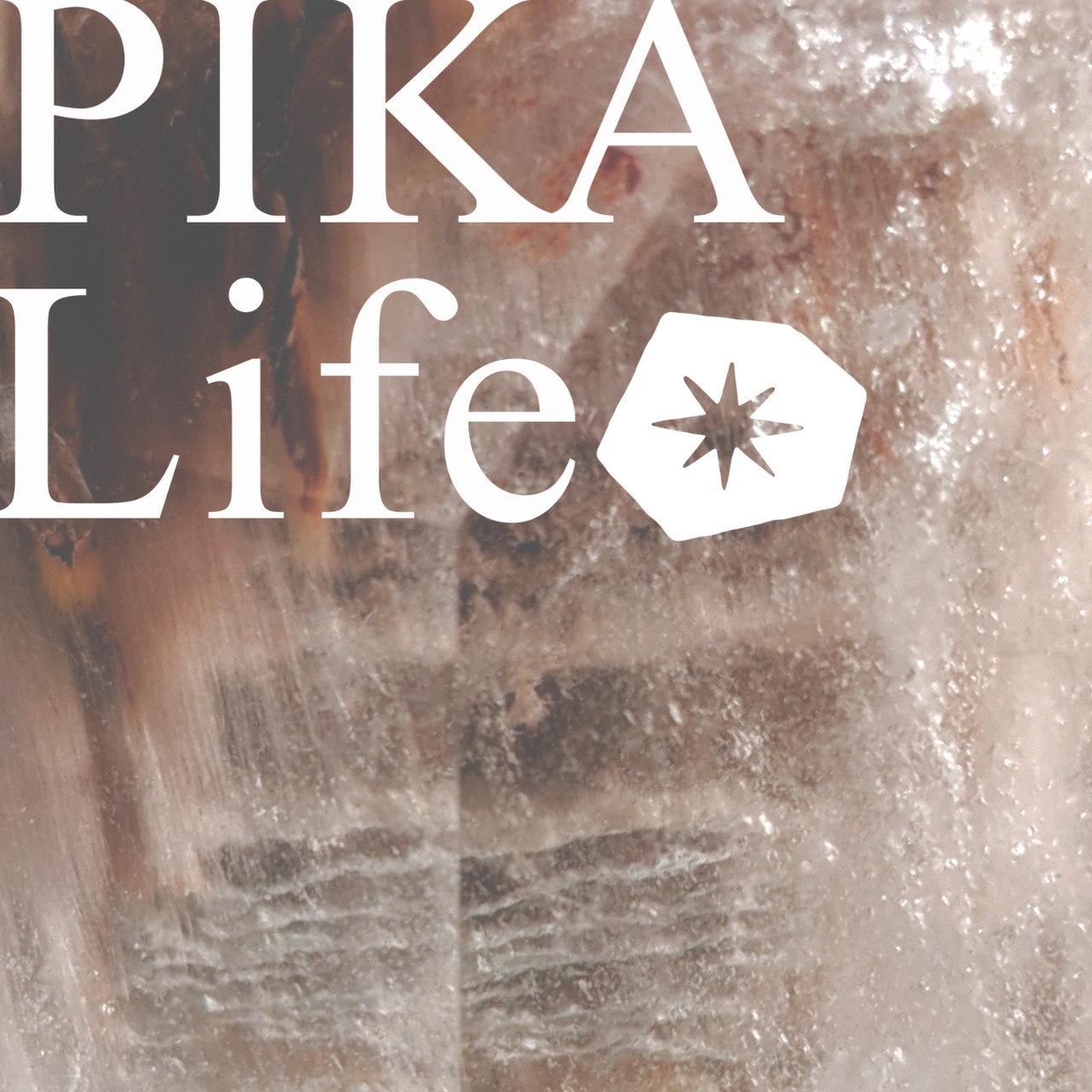 ⭔ お客様専用ページ ⭔ muscatberry.a様　