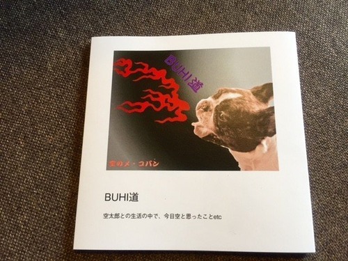 BUHI道（PHOT＆メッセージの本）フォトブック