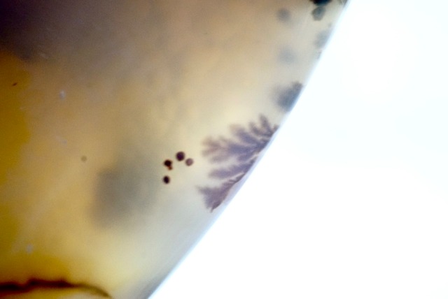 デンドリティック・アゲート Dendritic Agate