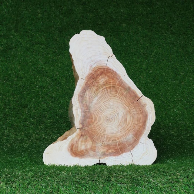 桧切り株 高さ35cm 上部直径 22~25cm No.1001 | ”山地直送” 自然木の 桧切り株 高さ35cm 上部直径 22~25cm No.1001 | ”山地直送” 自然木の