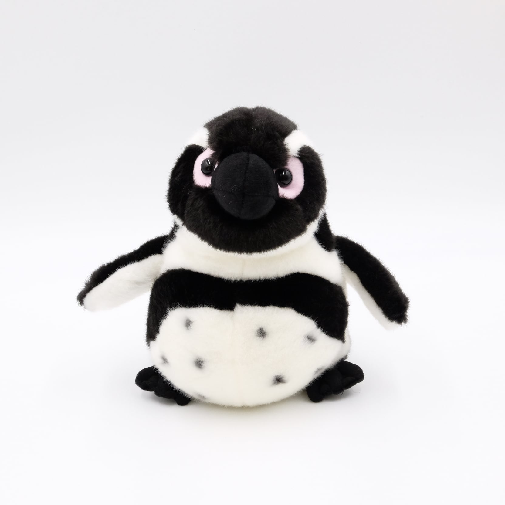 ぬいぐるみ ケープペンギン Nifrel Nifrel Online Shop