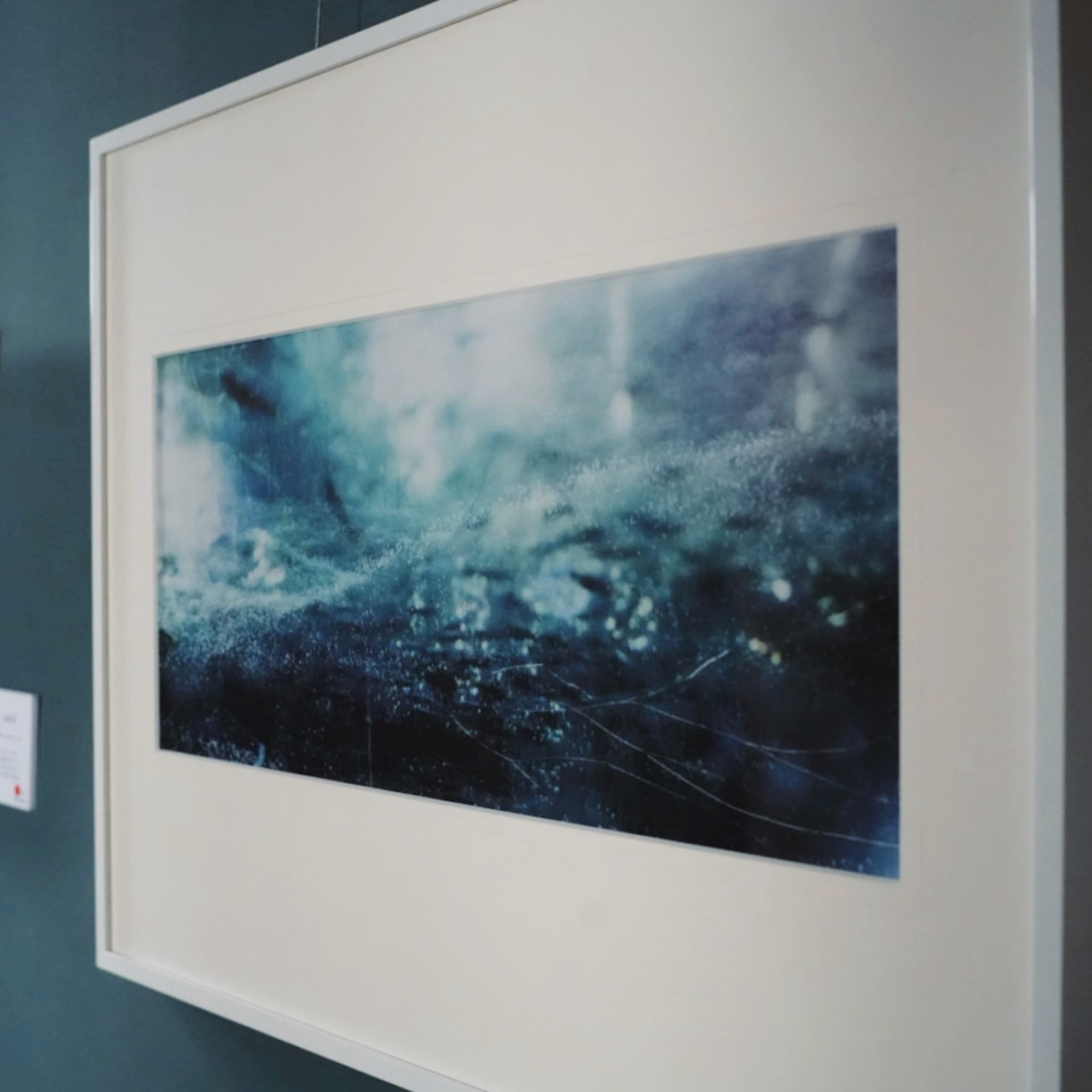 【erico】「瞬き」和紙 × 写真作品