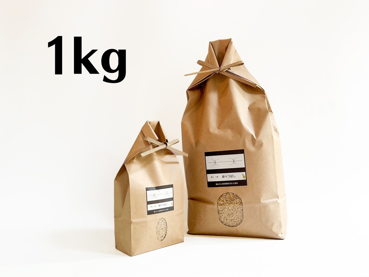【R08年産】新十つぼし 玄米1kg