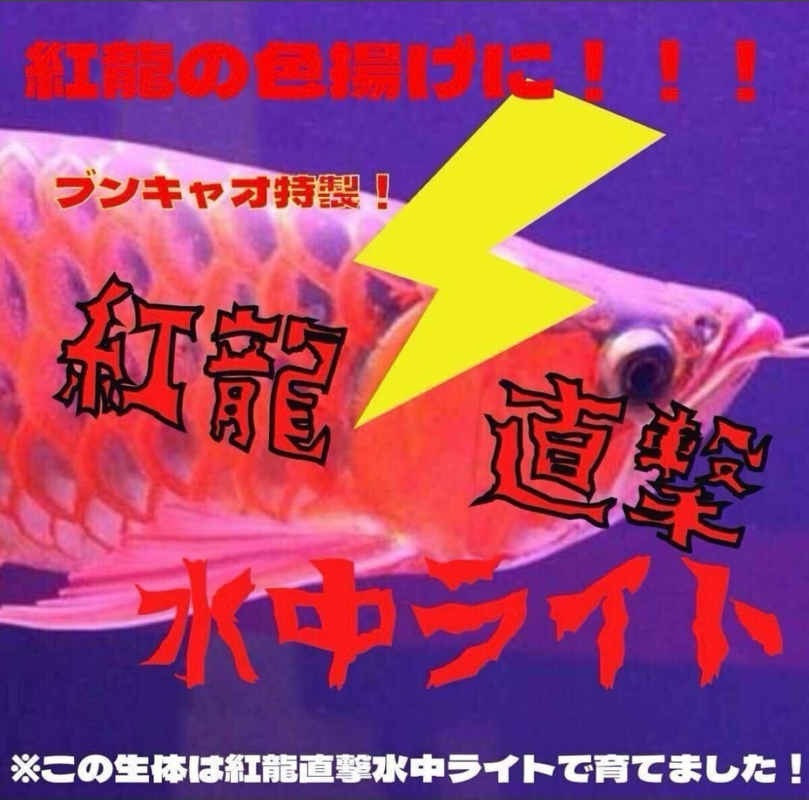 ブンキャオ水中ライト1500用