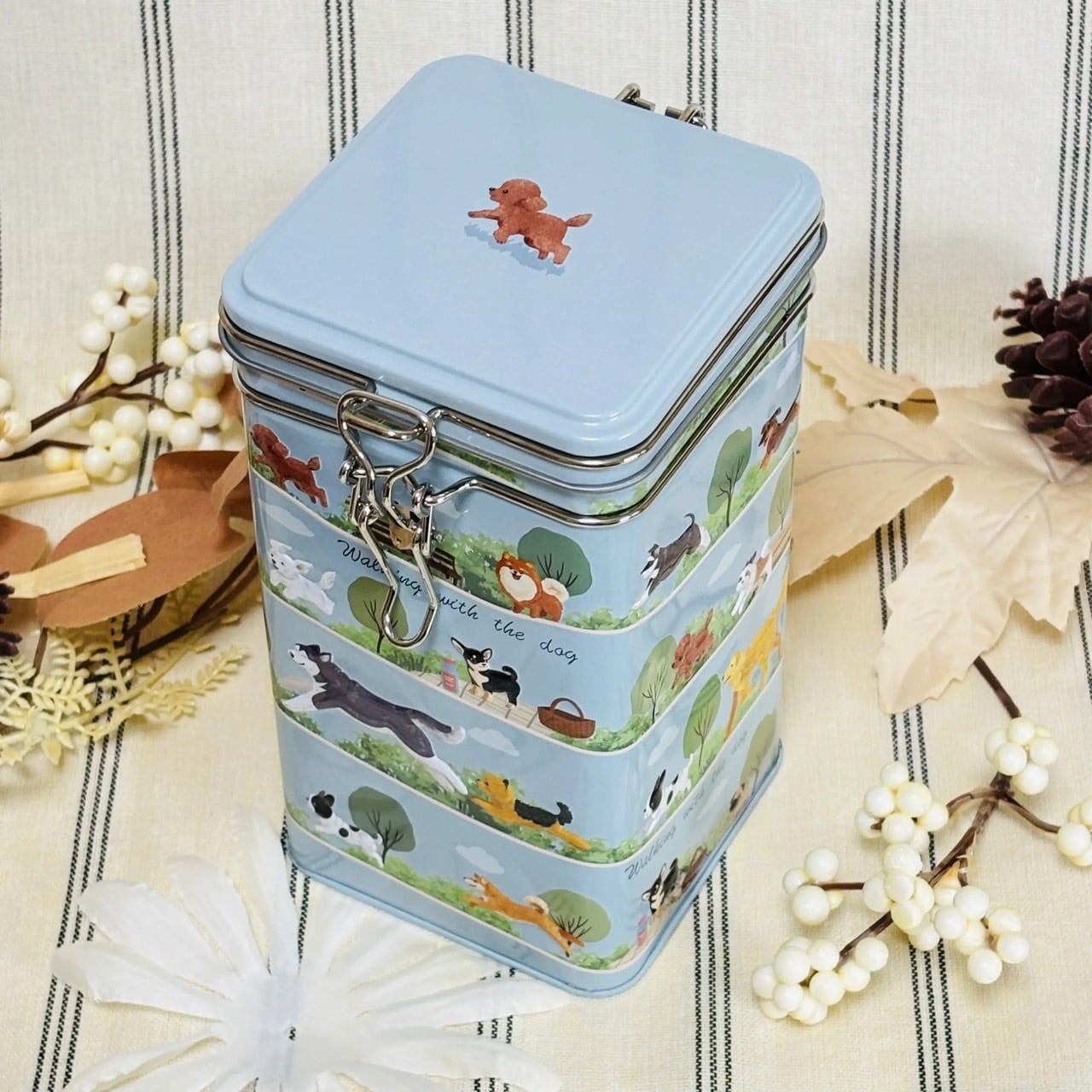 はる様 おまとめページ ★ダイナソー缶★選べる4パターン 取り寄せ ダイナソー 図鑑缶 | pxstore