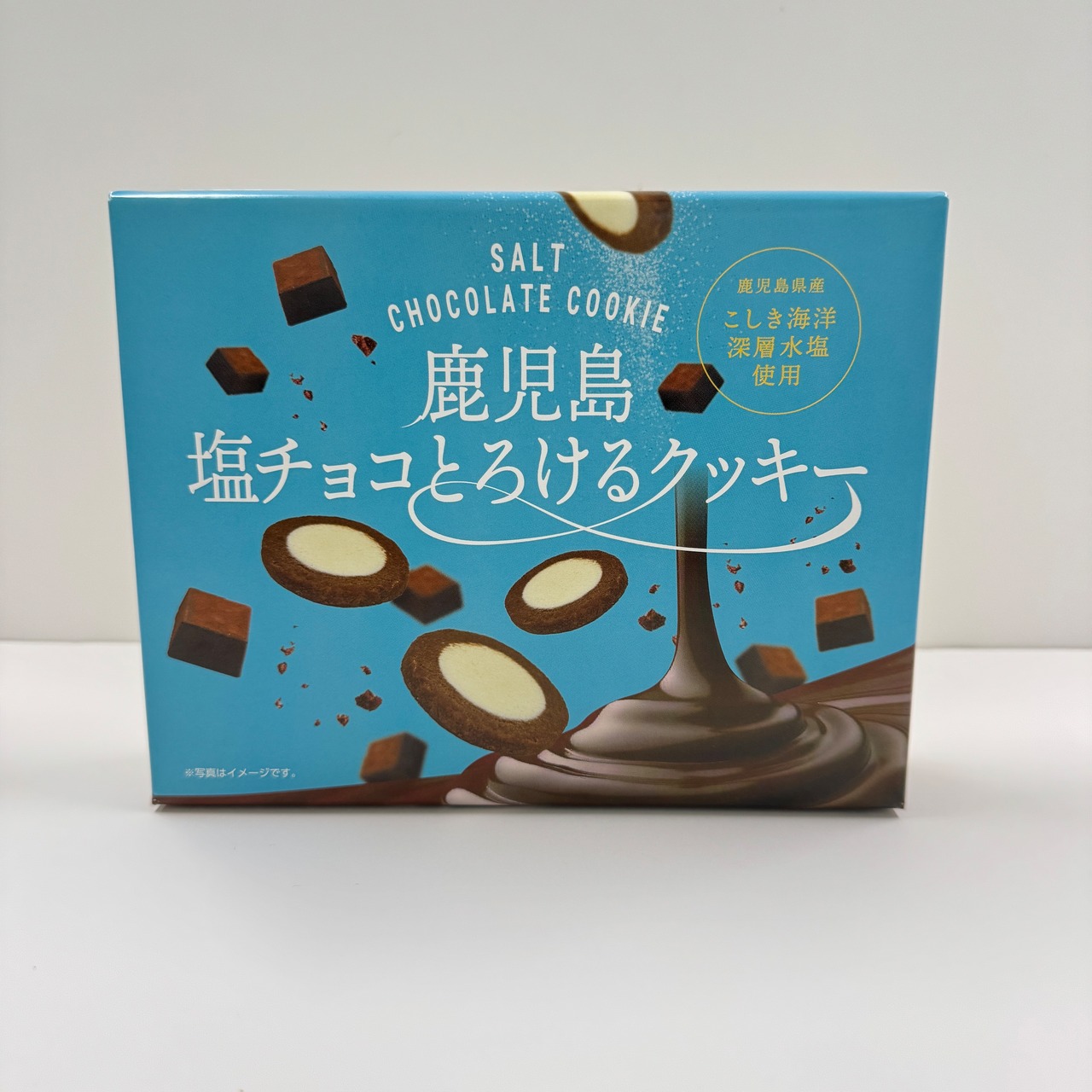 鹿児島塩チョコとろけるクッキー（10枚入）