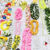 フラダンス 小物 小道具 まとめ売り 全100点以上 セット カラフル ネックレス フラワーレイ リーフレイ シェルレイ 髪飾り ウィッグ リーフ 舞台 タヒチアンダンス 小物セット 民族舞踊 フラワーアクセサリー カラフル系 ダンスアイテム フラダンス衣装