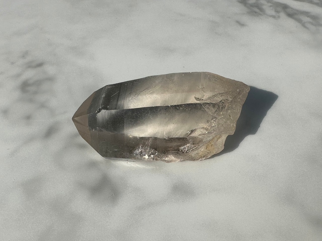 プロフェッショナル24