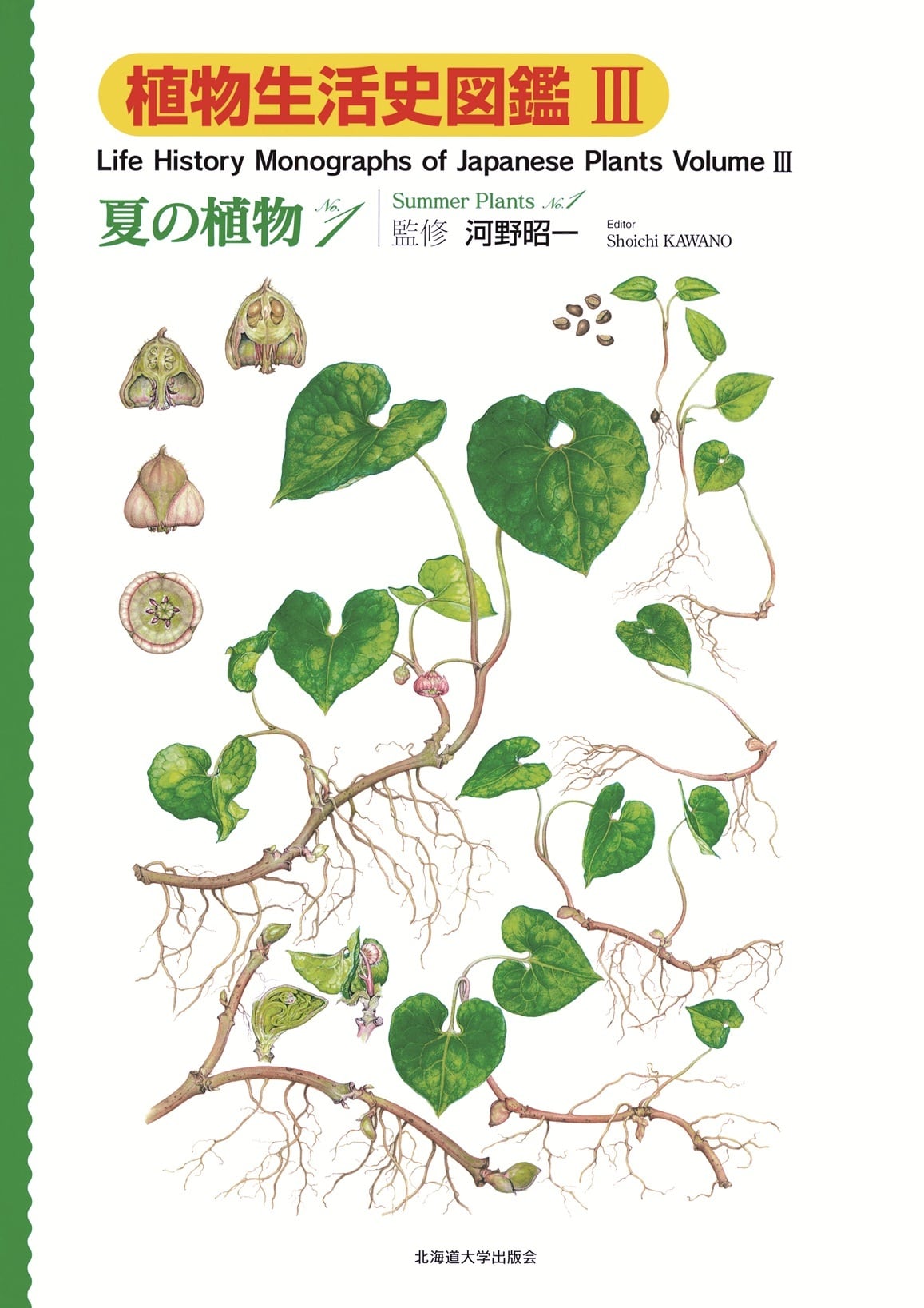 樹木生活史図鑑 = Observational illustrated boo… 樹木生活史図鑑 | 八田 洋章 |本 | 通販 | Amazon