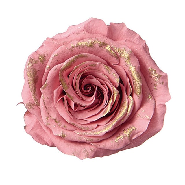 推し色薔薇〈ピンクゴールド〉 | 推しリウム｜ネットオーダー〈全国