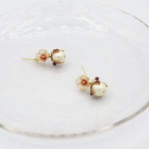 cotton flower