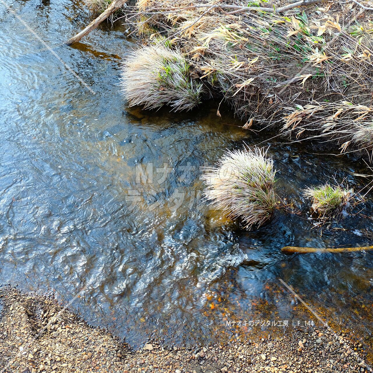 早春の小川の流れ　early spring stream