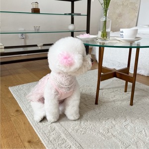 予約【pecoramou select】Roa Ribbon Net one piece