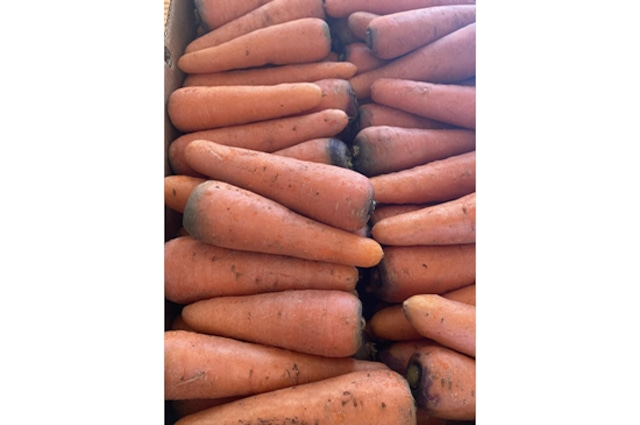 【甘くてなめらか】黒田五寸人参・1kg