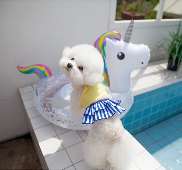 予約【coco chien】Eva Bikini Swimwear (Short)