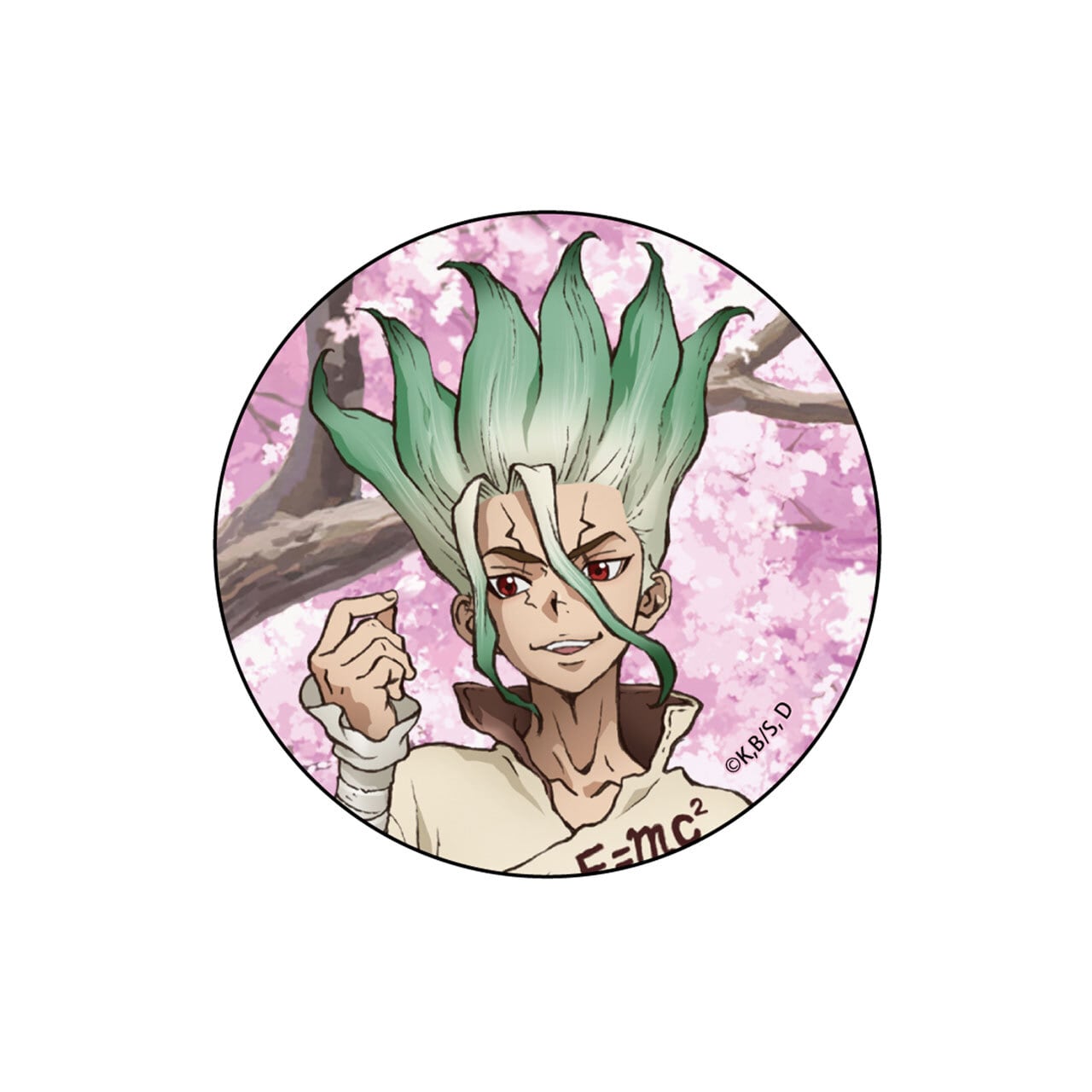 最終値下げDr.STONE 石神千空 バースデー缶バッジ