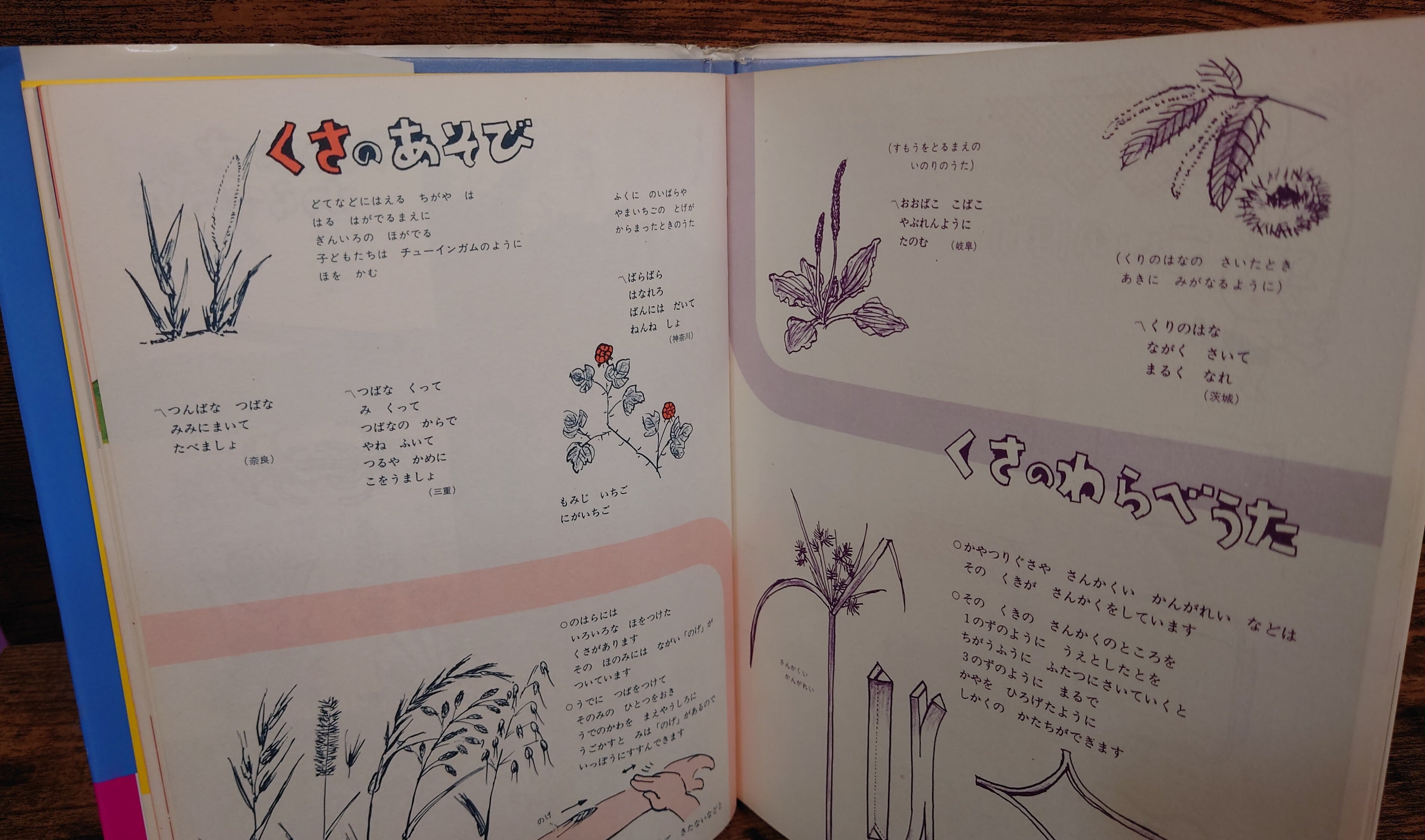 さわやかな たのしいあそび（かこさとし あそびの本3） | 弥生坂 緑の本棚