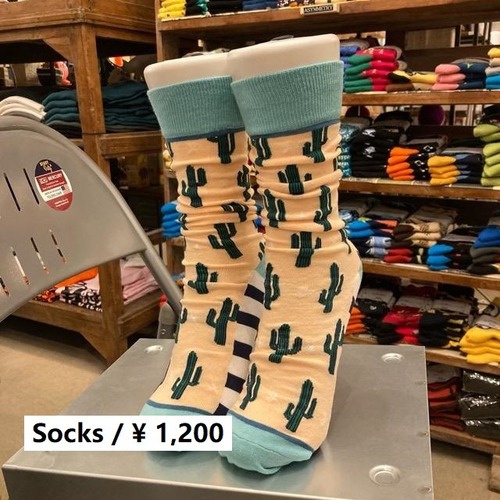 TOPANGA SOCKS Lady's　メキシコサボテンソックス　ベージュ　グリーン　靴下　レディース　クルーソックス　ボーダー柄