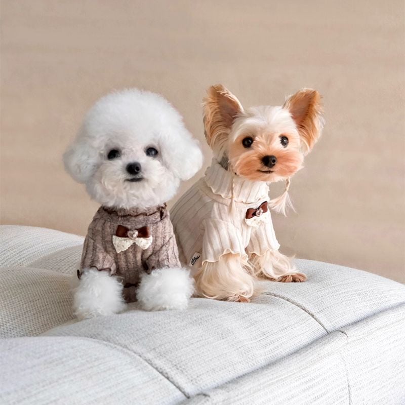 リボン付タートルネックのセーター 犬服 00953