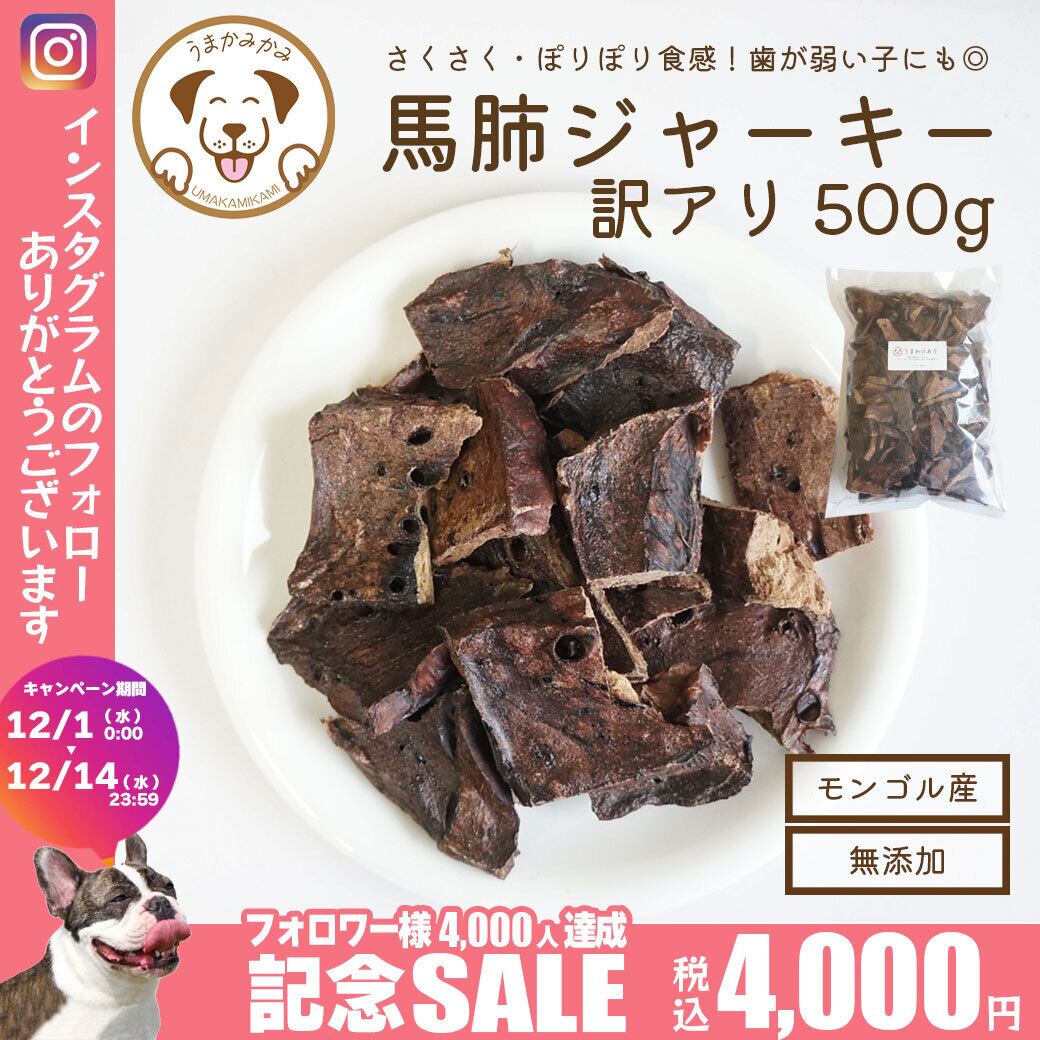 日本人気超絶の 馬肺ジャーキー 馬アキレス agapeeurope.org