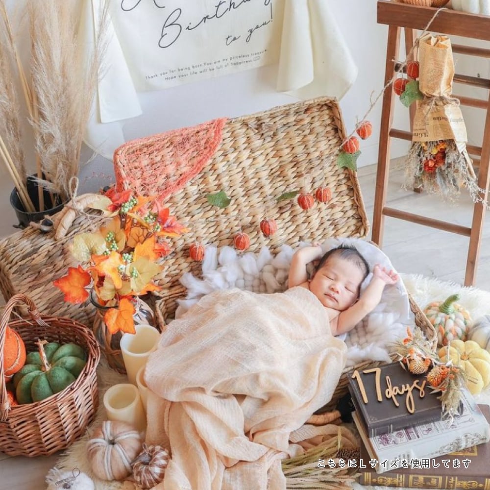 トランク 2こセット ウォーターヒヤシンス 【公式通販】